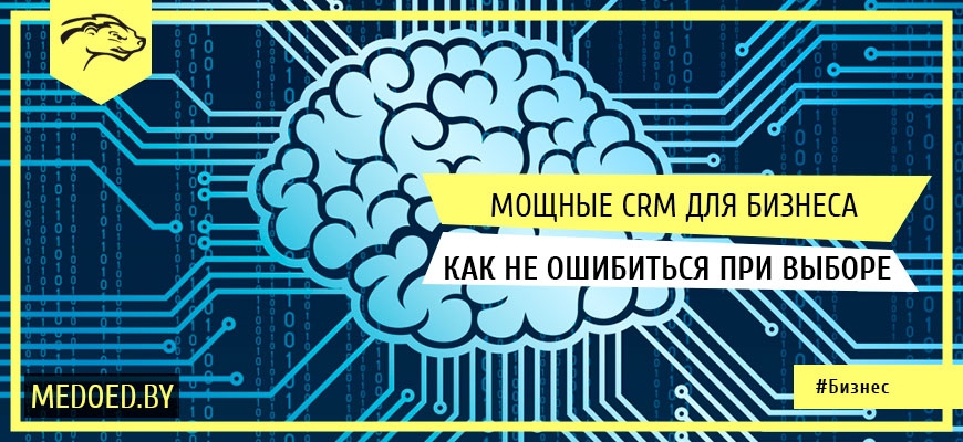 CRM для бизнеса